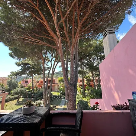 Hibiscus * Solanas (Cagliari)