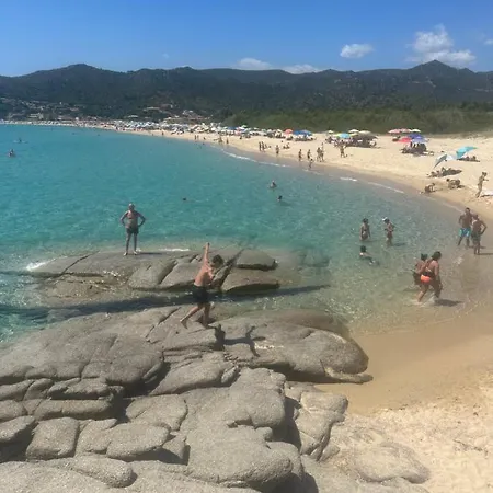 Hibiscus Solanas (Cagliari)